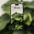 lush green foliage