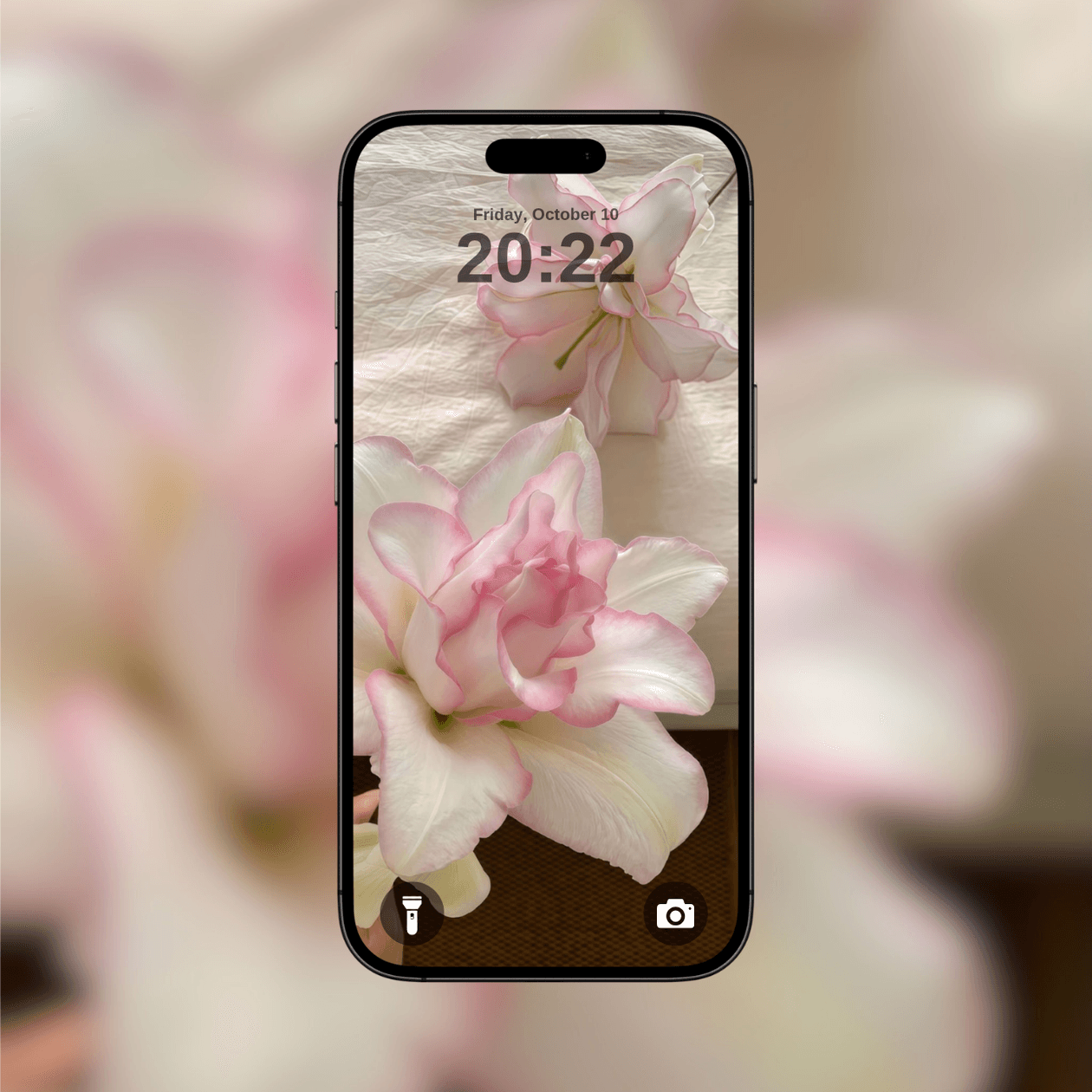 ethereal-blush-lily