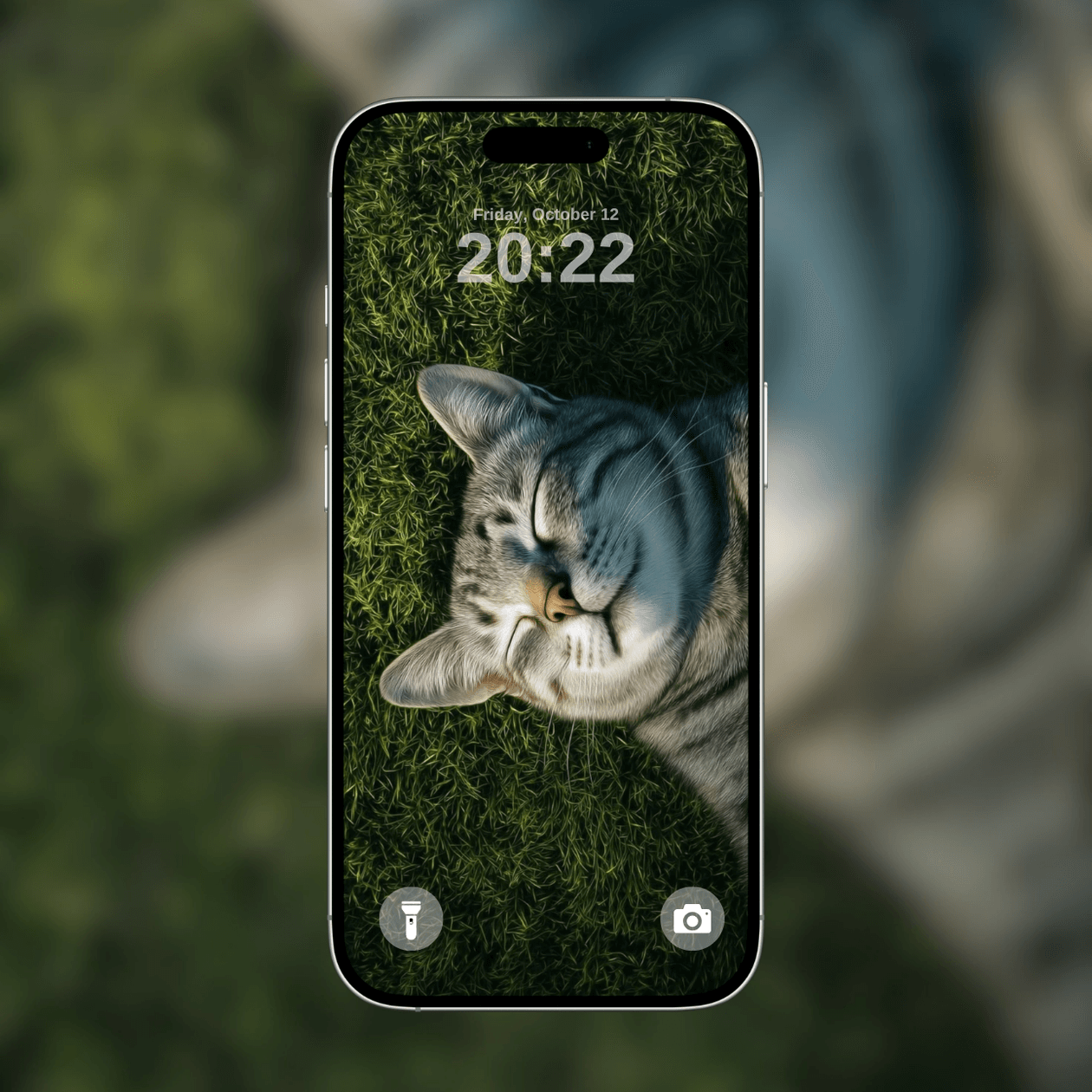 sleeping-cat