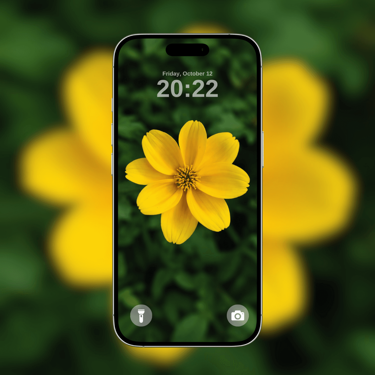 yellow-flower