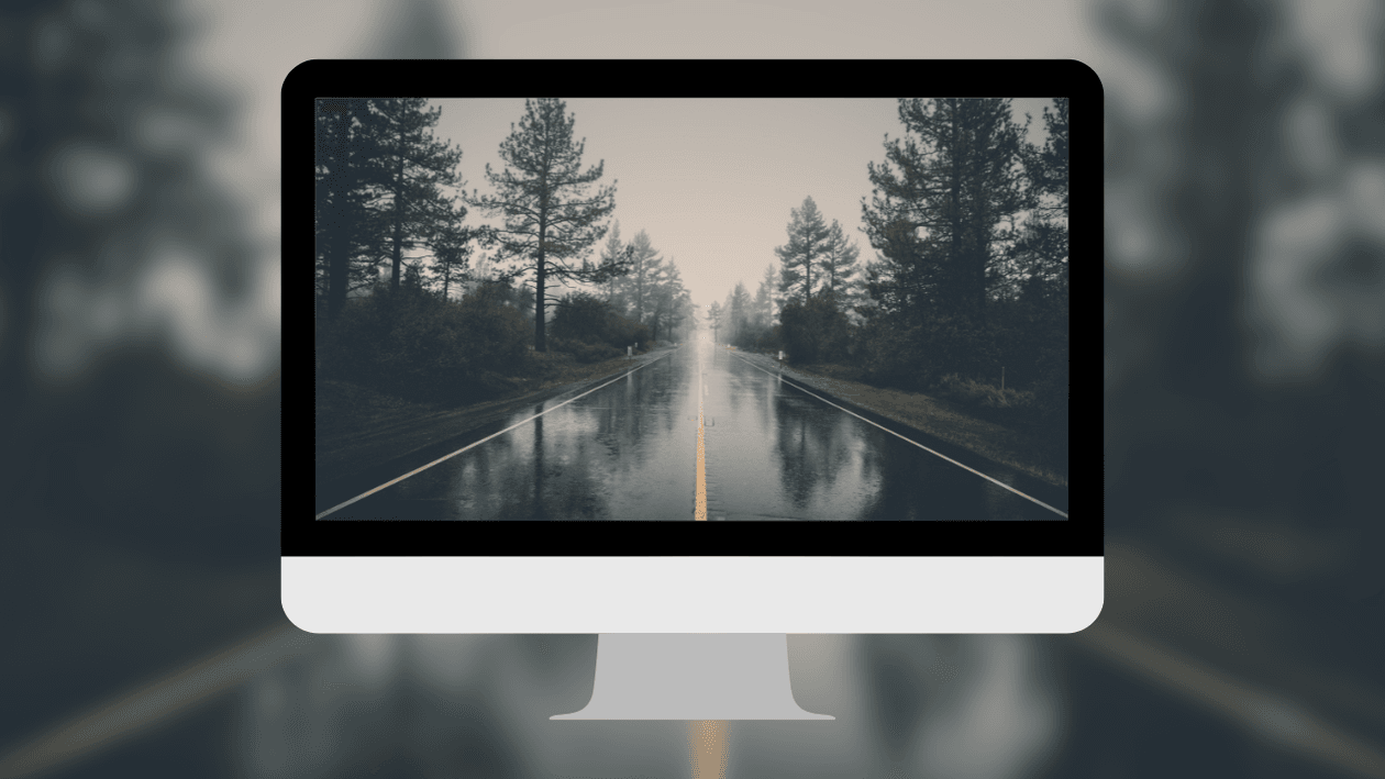 wet-rainy-forest-highway