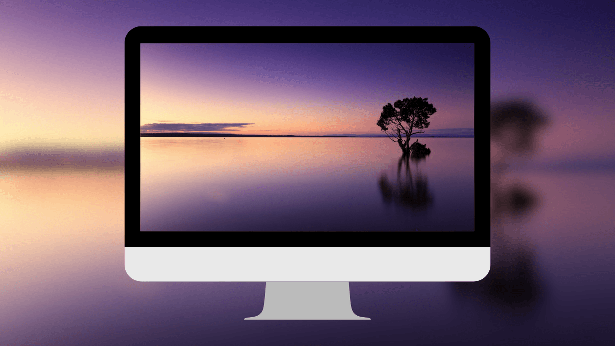 tranquil-tree-in-sea