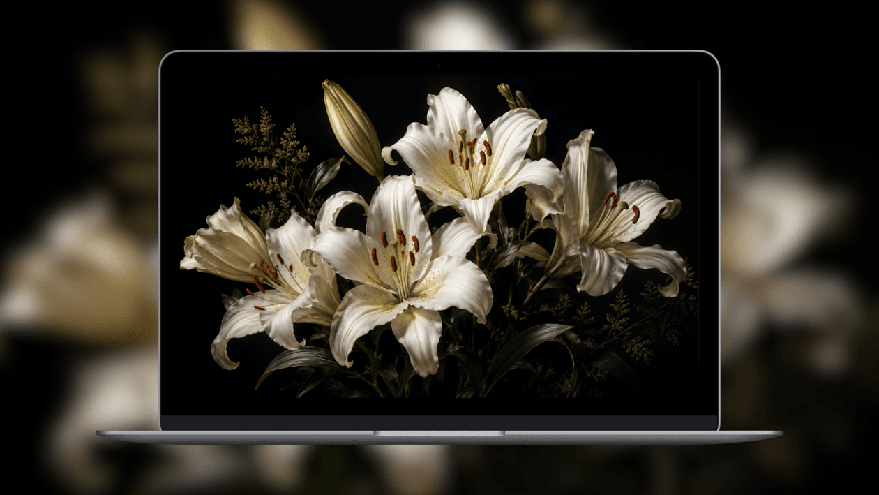 white-lilies-flowers