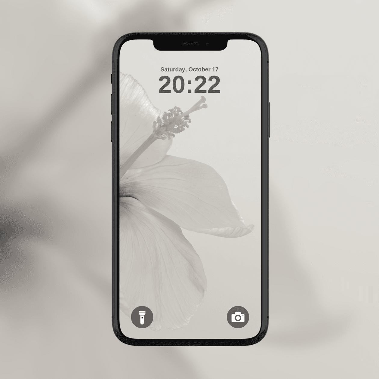 white-hibiscus