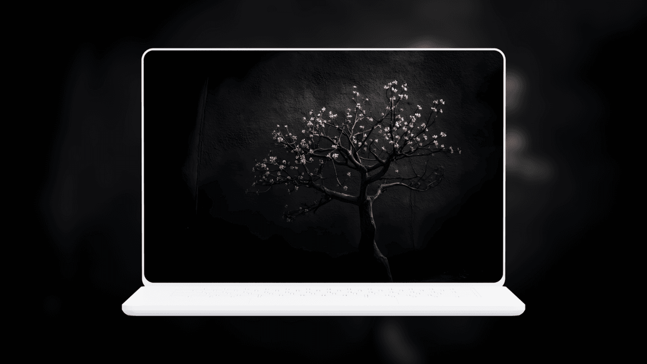 blossom-tree-in-dark