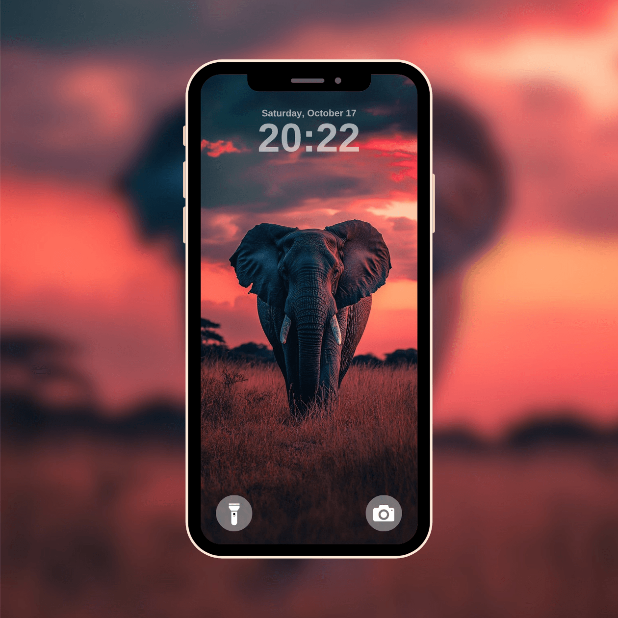elephant-at-sunset